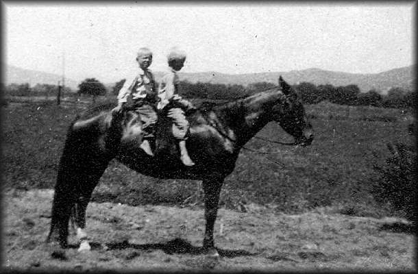 Amos & Franklin on Bessie