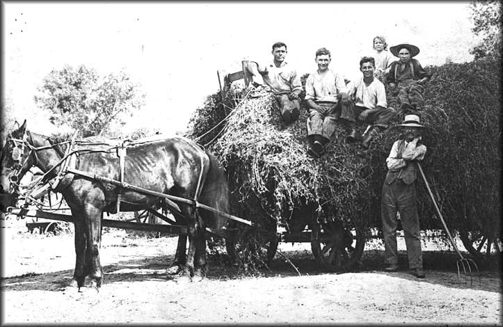 Load of Hay on the Ray Trussell Ranch, 1906